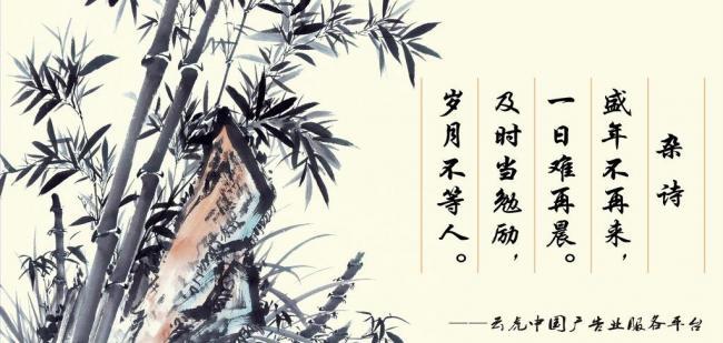 辦公室風水擺件，助你事業(yè)風生水起