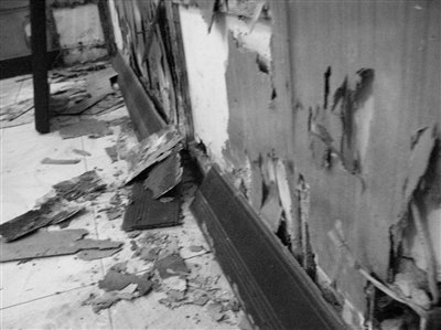 白蟻的危害，每年造成的直接經(jīng)濟損失在3000萬元以