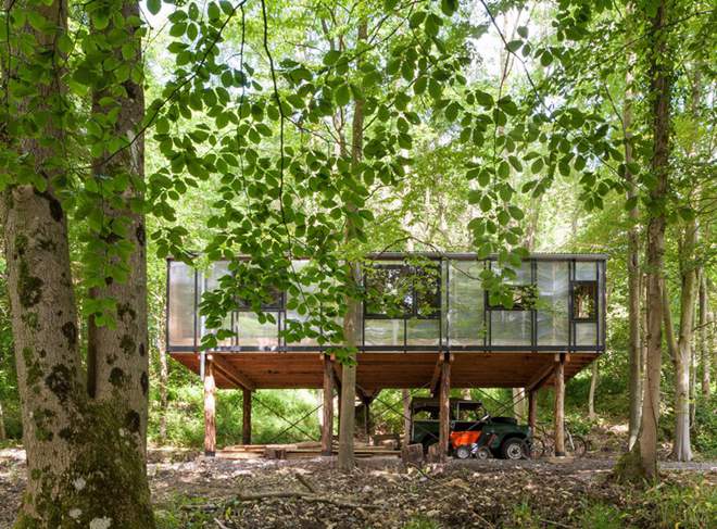 森林中的辦公室也可以很有愛！